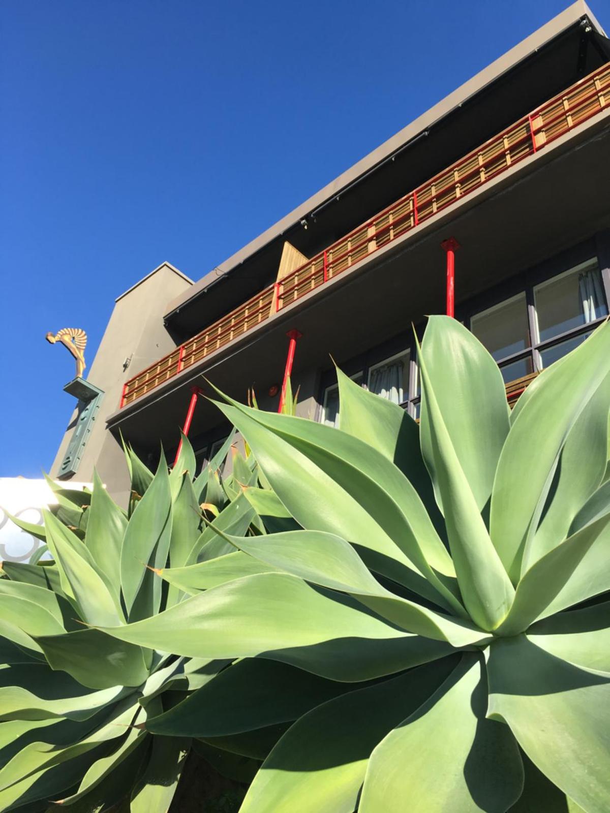 Dive Hotel Coogee Beach