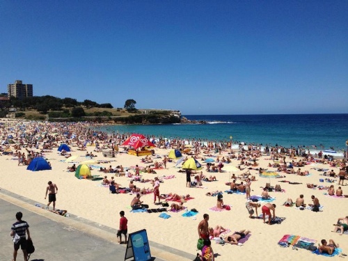 Dive Hotel Coogee Beach image 2