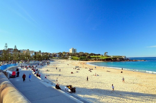 Dive Hotel Coogee Beach image 32